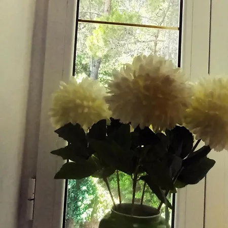 Appartamento Park Rab Town